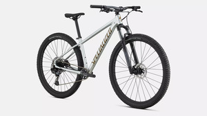 Kolo Specialized ROCKHOPPER EXPERT - 29, gloss silver dust/satin burnt gold metallic