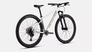 Kolo Specialized ROCKHOPPER EXPERT - 29, gloss silver dust/satin burnt gold metallic