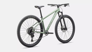 Kolo Specialized ROCKHOPPER COMP - M, Gloss Pistachio/White Mountains