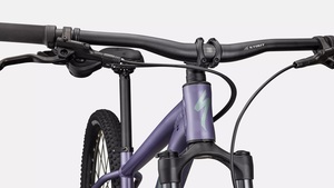 Kolo Specialized ROCKHOPPER COMP - L, Satin Mauve Metallic/Fjord Metallic