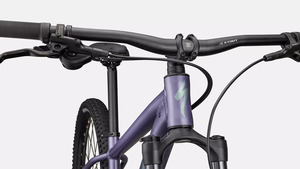 Kolo Specialized ROCKHOPPER COMP - 29, satin mauve metallic