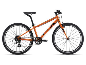 Kolo GIANT ARX 24