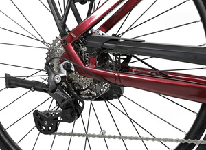 Elektrokolo APACHE Sota 1 720Wh - M, vínová
