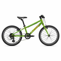 Kolo GIANT ARX 20 Metallic Green