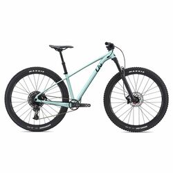 Kolo LIV Lurra 29 2 M