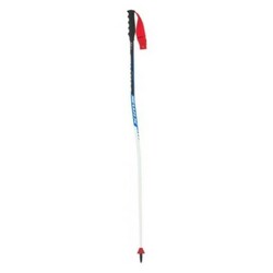 Sjezdové hole Swix WC PRO SG