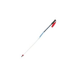 Sjezdové hole Swix WC PRO SG